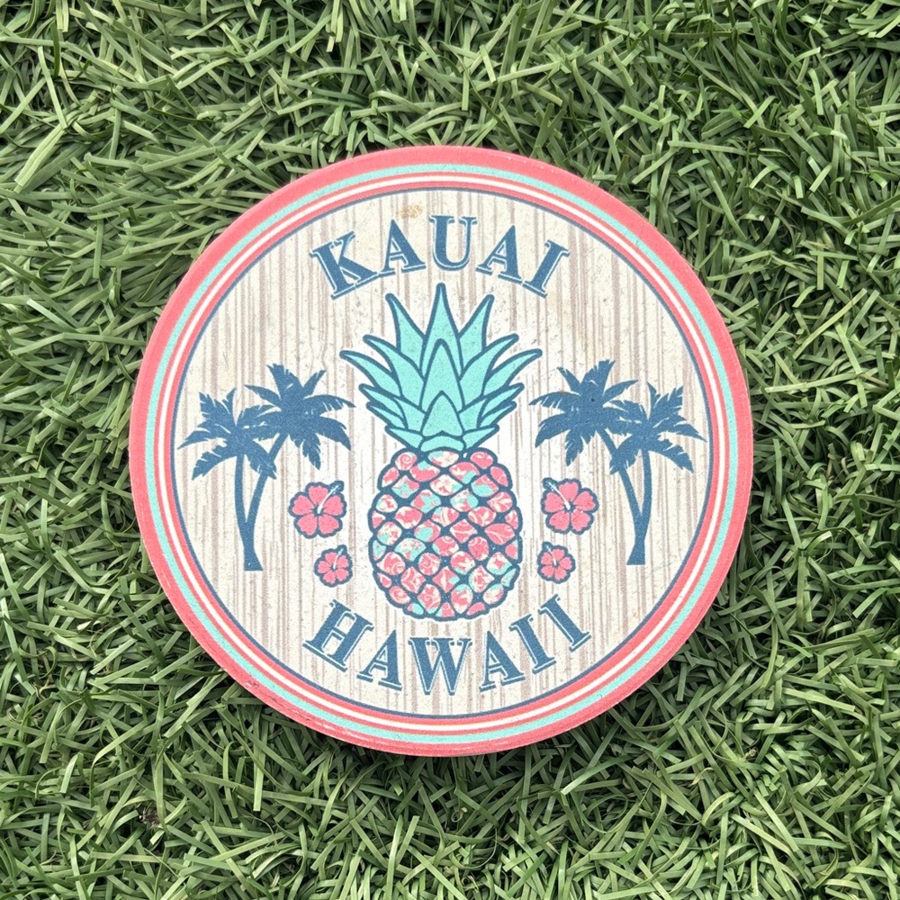Kauai Hawaii Pineapple Coaster